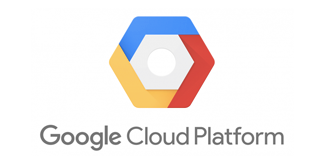 Google Cloud Partner